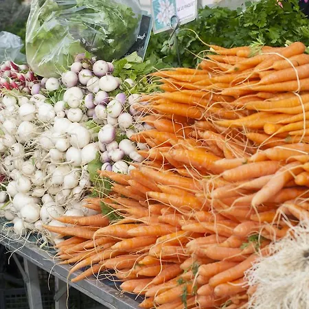 Comte De Apartmanhotel