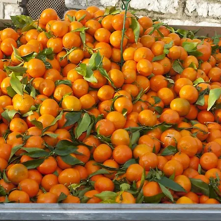 Lejlighedshotel Comte De Nice